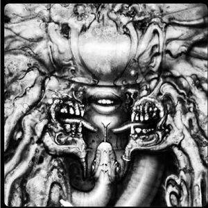 Meet your Posher, Will